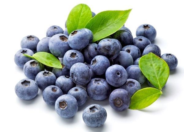 Blueberries Essence