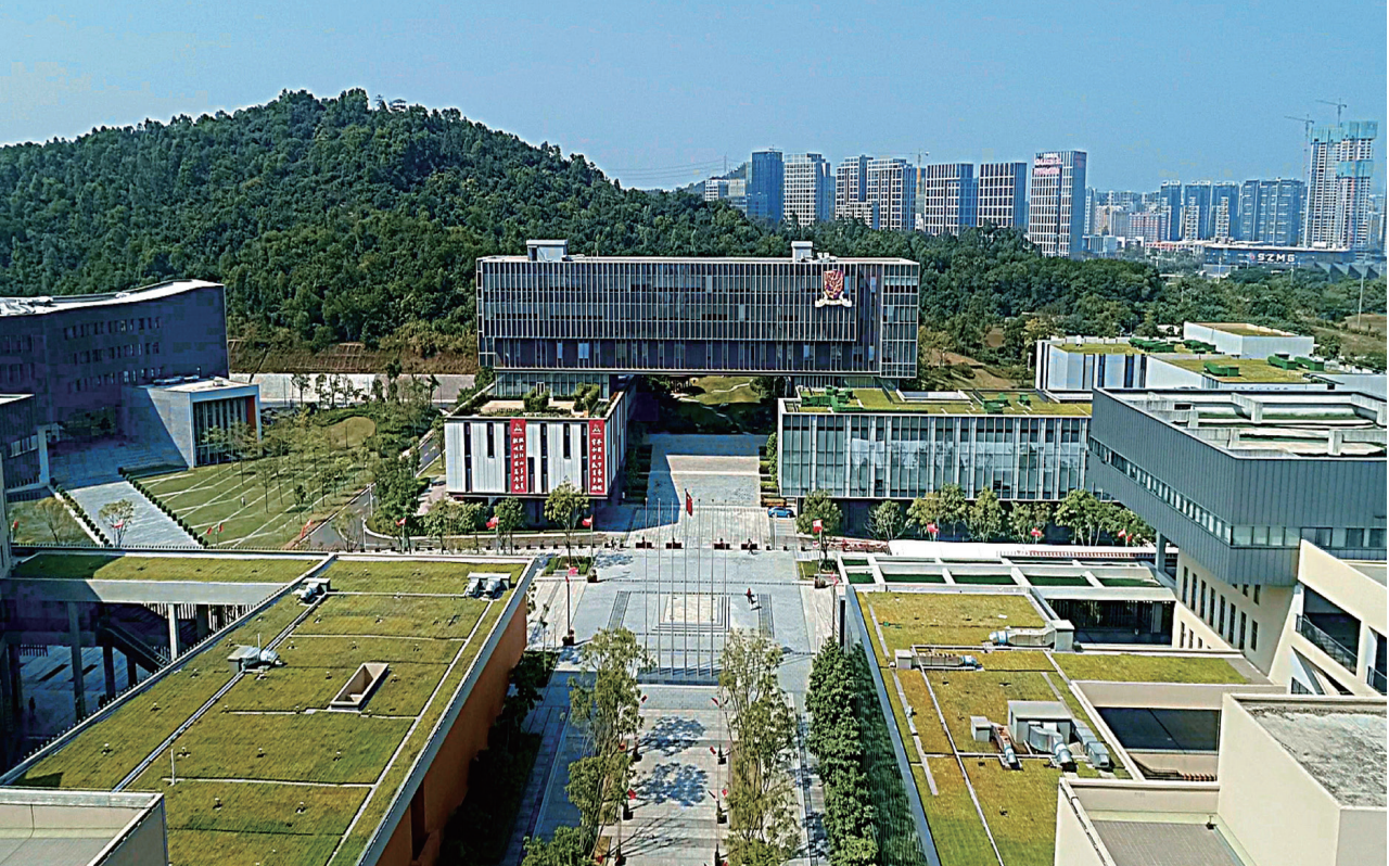 香港中文大学(深圳)校园中园围网等市政设施及景观工程(广东省)