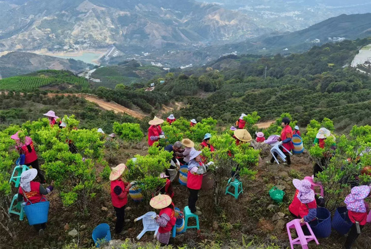 图片名称