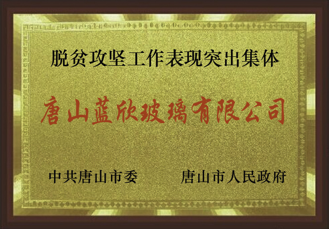 脫貧攻堅工作表現突出集體 脫貧攻堅工作表現突出集體