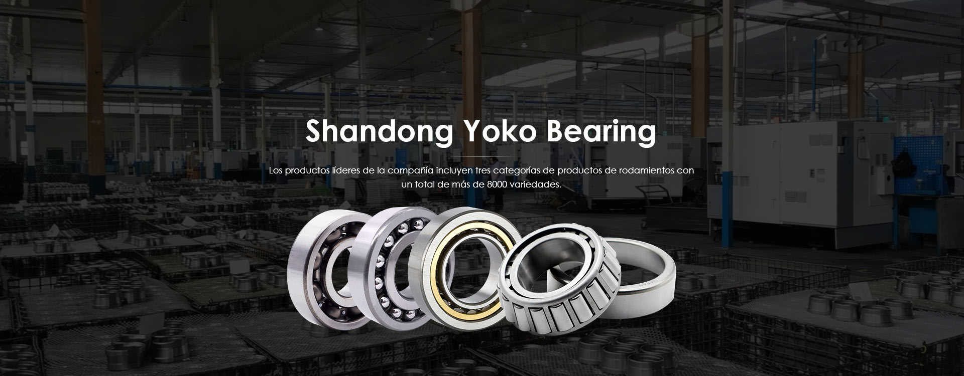 Shandong Yoko Bearing