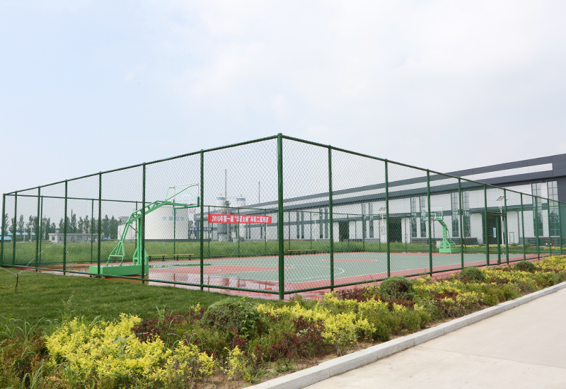 basketball court