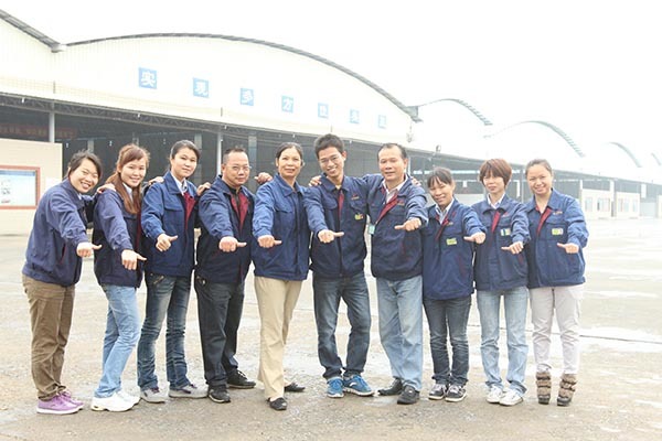 Team style