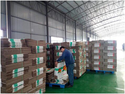 Shaoyang Jinmei Carton Making and Printing Equipment officially put into production