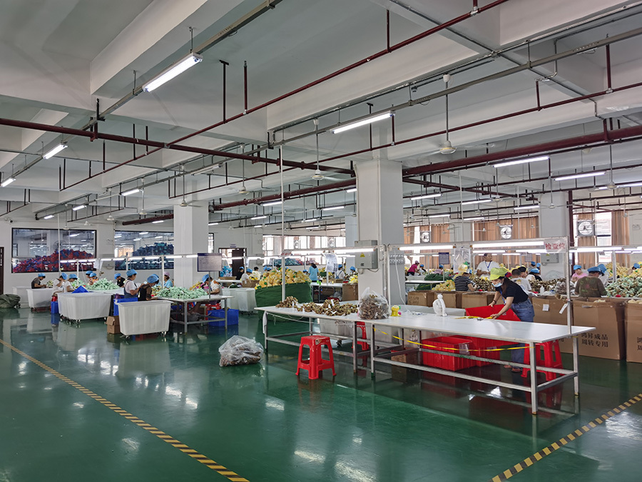 Factory Appearance