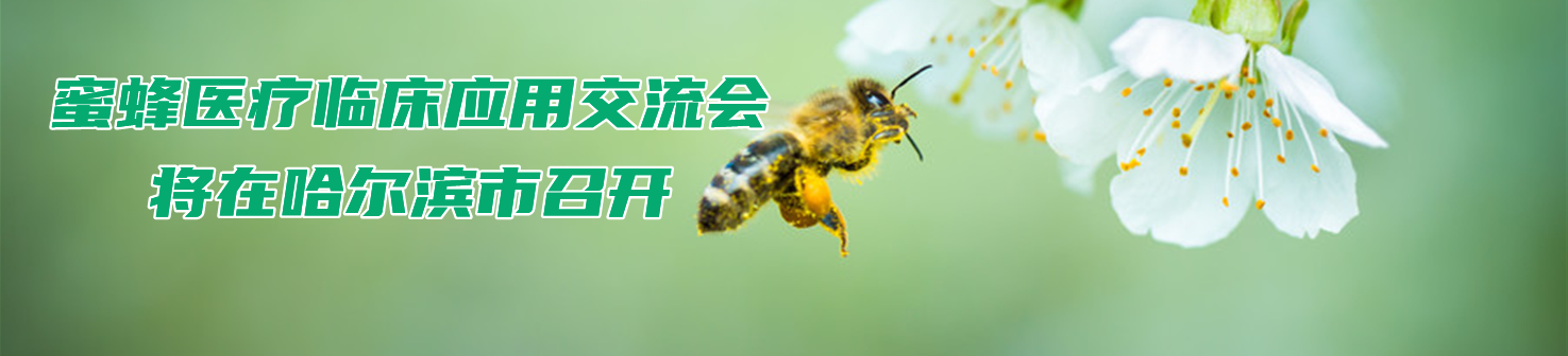 蜜蜂医疗临床应用交流会将在哈尔滨市召开