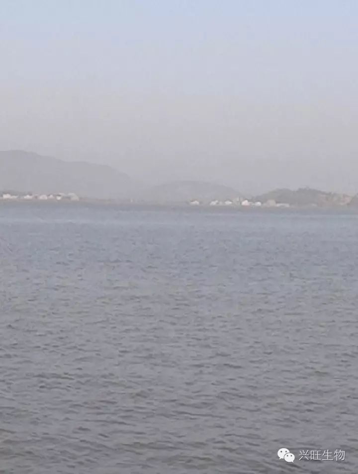 業(yè)內(nèi)領(lǐng)先的大水面養(yǎng)殖整體解決方案提供者
