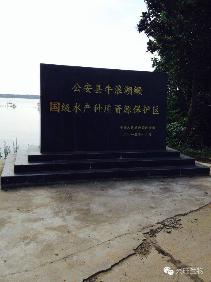 業(yè)內(nèi)領(lǐng)先的大水面養(yǎng)殖整體解決方案提供者