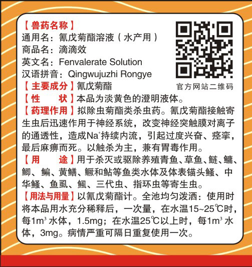滴滴效