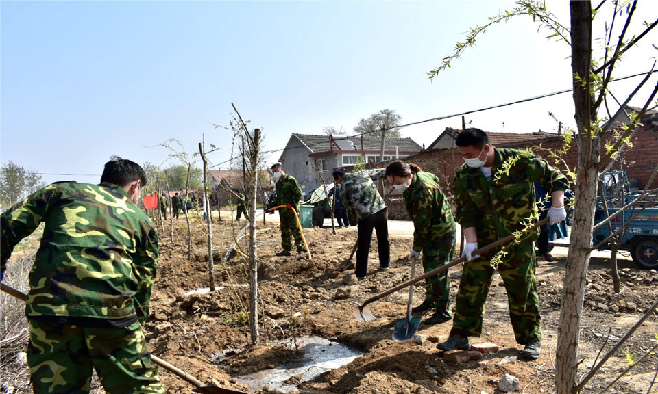 中矿集团青年植树活动助力乡村建设 中矿集团青年植树活动助力乡村建设