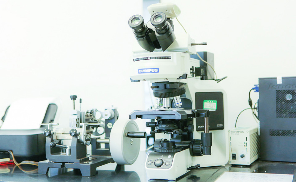 Olympus Biological Microscope Olympus Biological Microscope