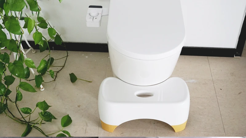 What Are the Advantages and Disadvantages of the Squatting Pan and the Toilet Bidet?