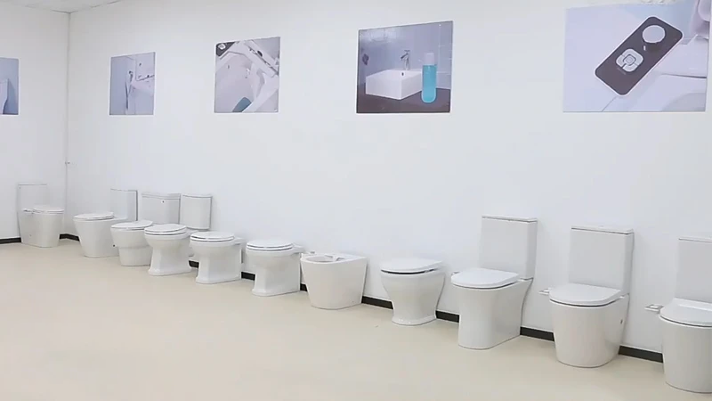 What Are the Problems of the Intelligent Toilet Bidet?