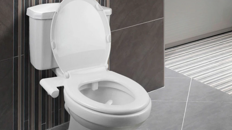 The Maintenance and Care of the Toilet Bidet