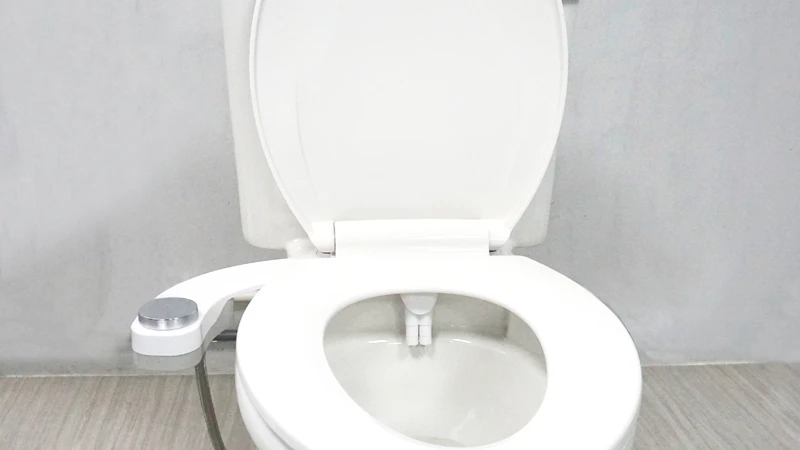 How to Clear the Toilet Bidet Quickly
