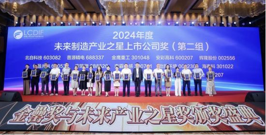 荣誉时刻丨欧洲杯买足球官网荣获“2024年度未来制造产业之星上市公司”