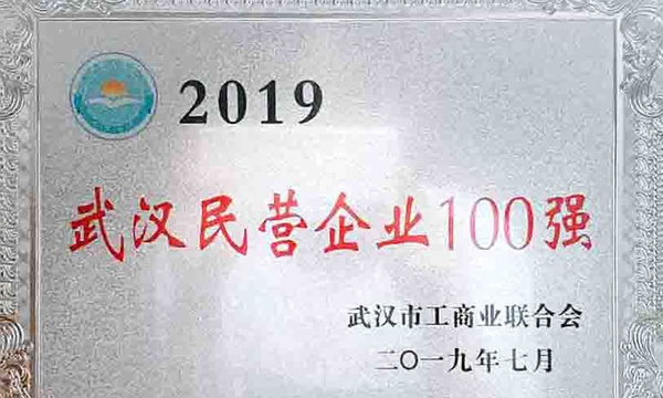 【喜报】振发建设集团再登“2019年武汉民营 企业100强”榜单