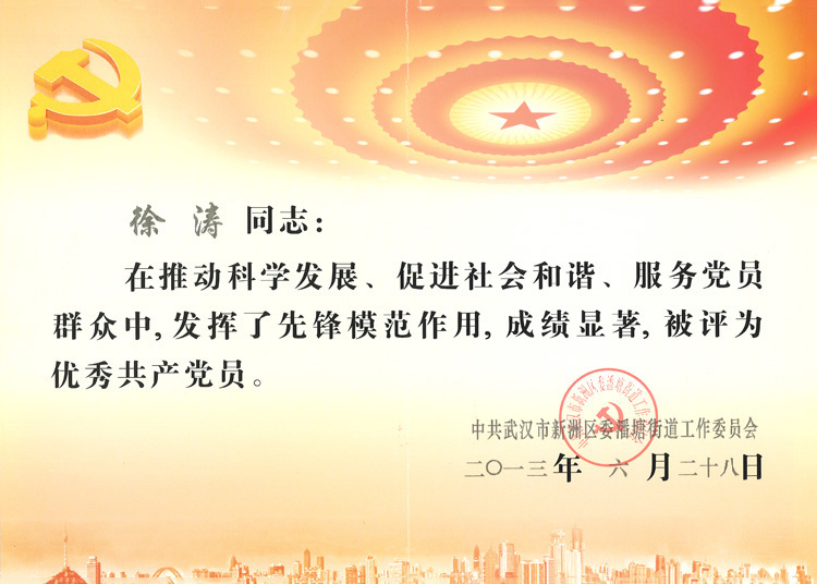 2013年度优秀党员——徐涛