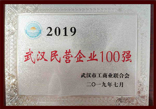 2019年武汉民营企业100强
