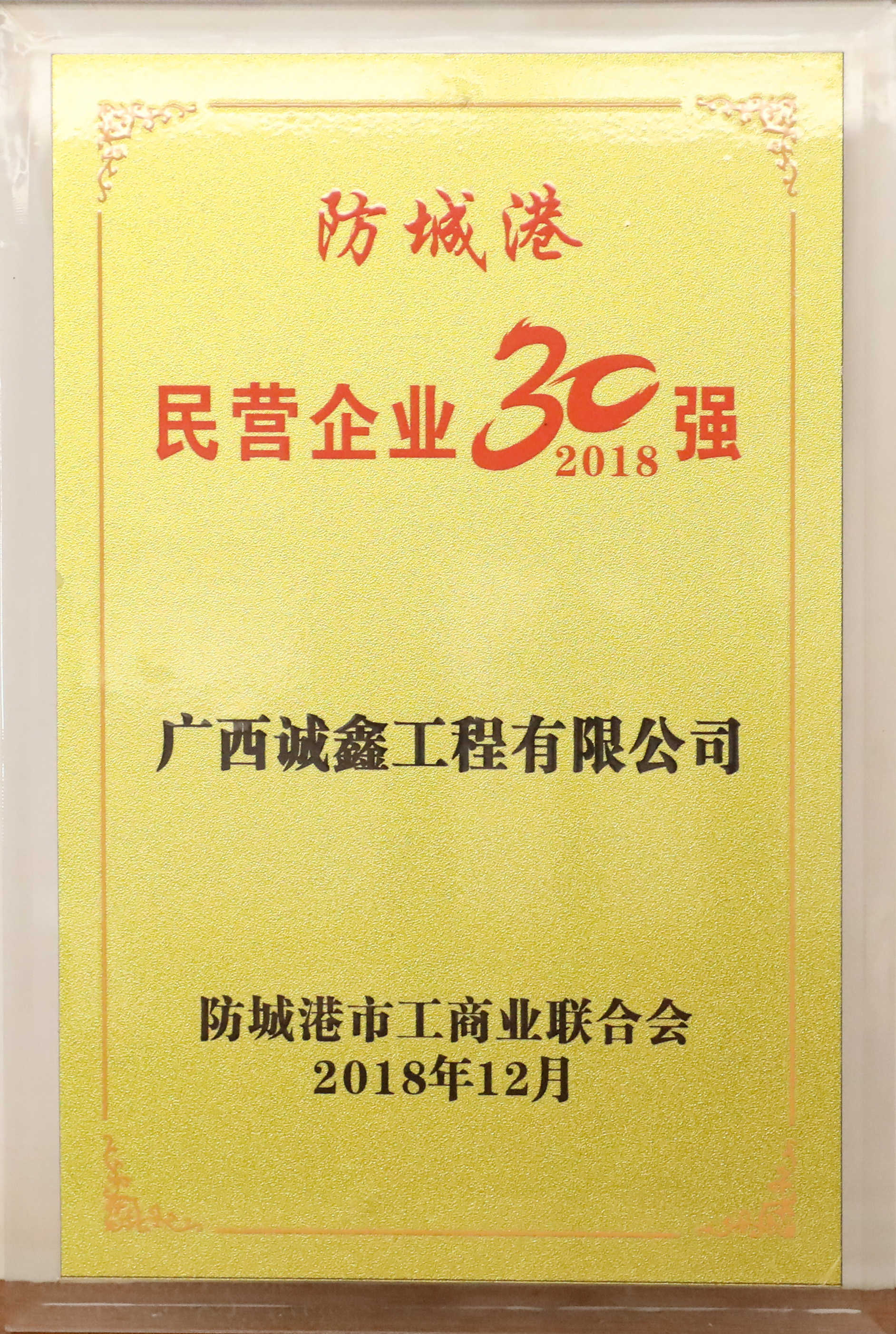 2018年防城港民营企业30强