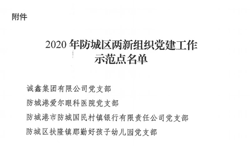 点赞！诚鑫集团党支部获评2020年防城区两新组织党建工作示范点