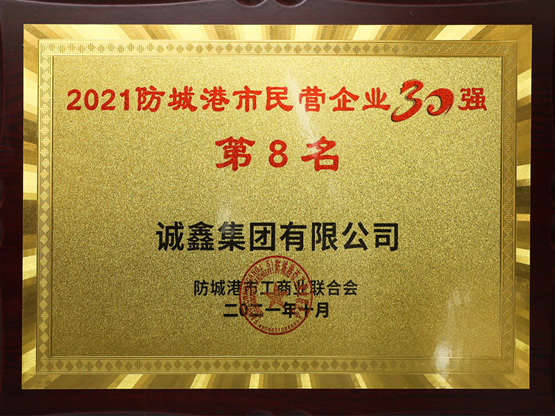 2021防城港民营企业30强第8名