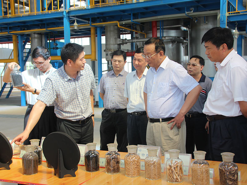 2013年7月24日，湖北省发改委副主任甄建桥考察公司
