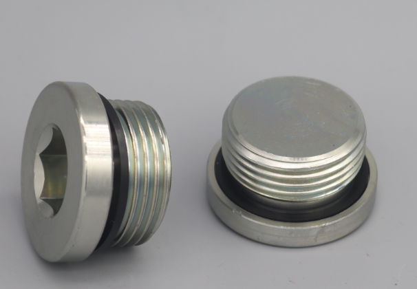 BSP MALE CAPTIVE SEAL HOLLOW HEX PLUG