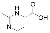 依克多因 依克多因