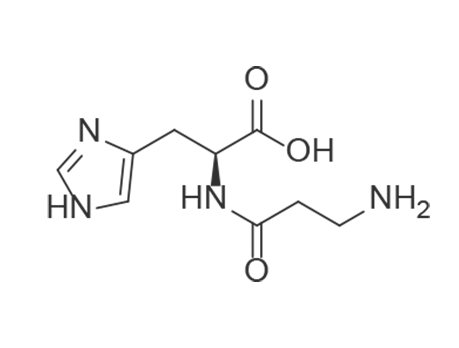 Carnosine Carnosine