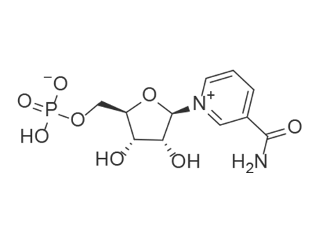 Nicotinamide mononucleotide Nicotinamide mononucleotide