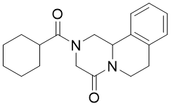 Praziquantel Praziquantel