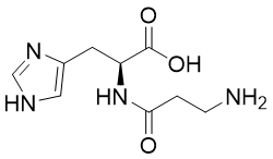 Carnosine Carnosine