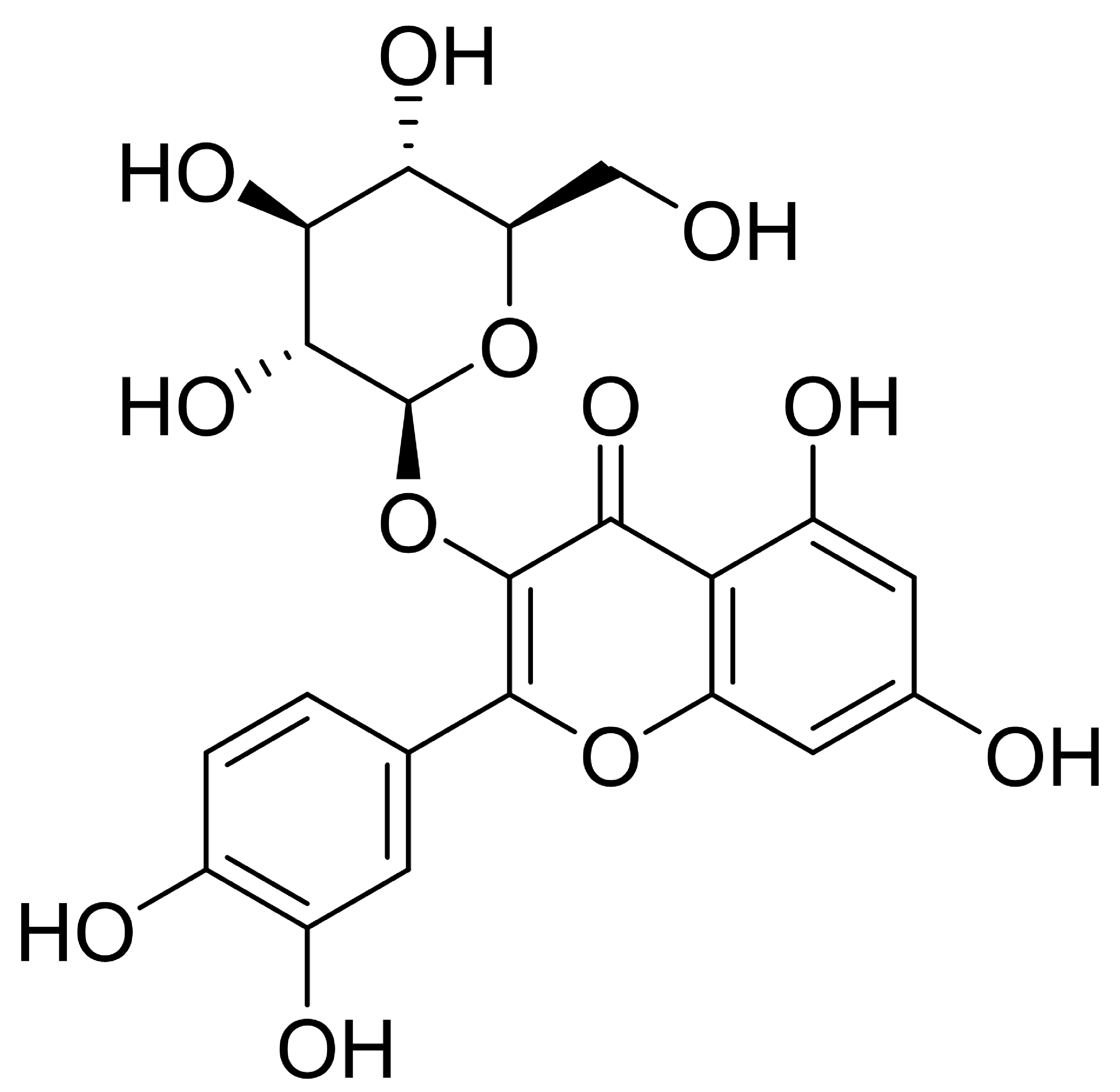 Isoquercetin Isoquercetin