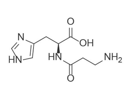 Carnosine Carnosine