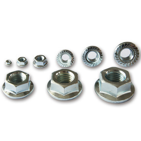 Hex Nut