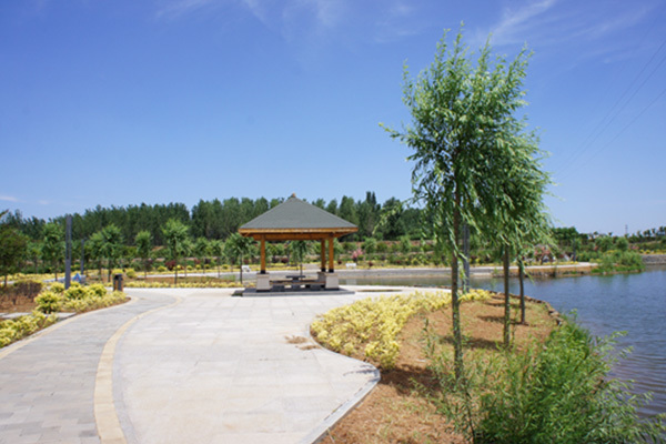 Wetland park