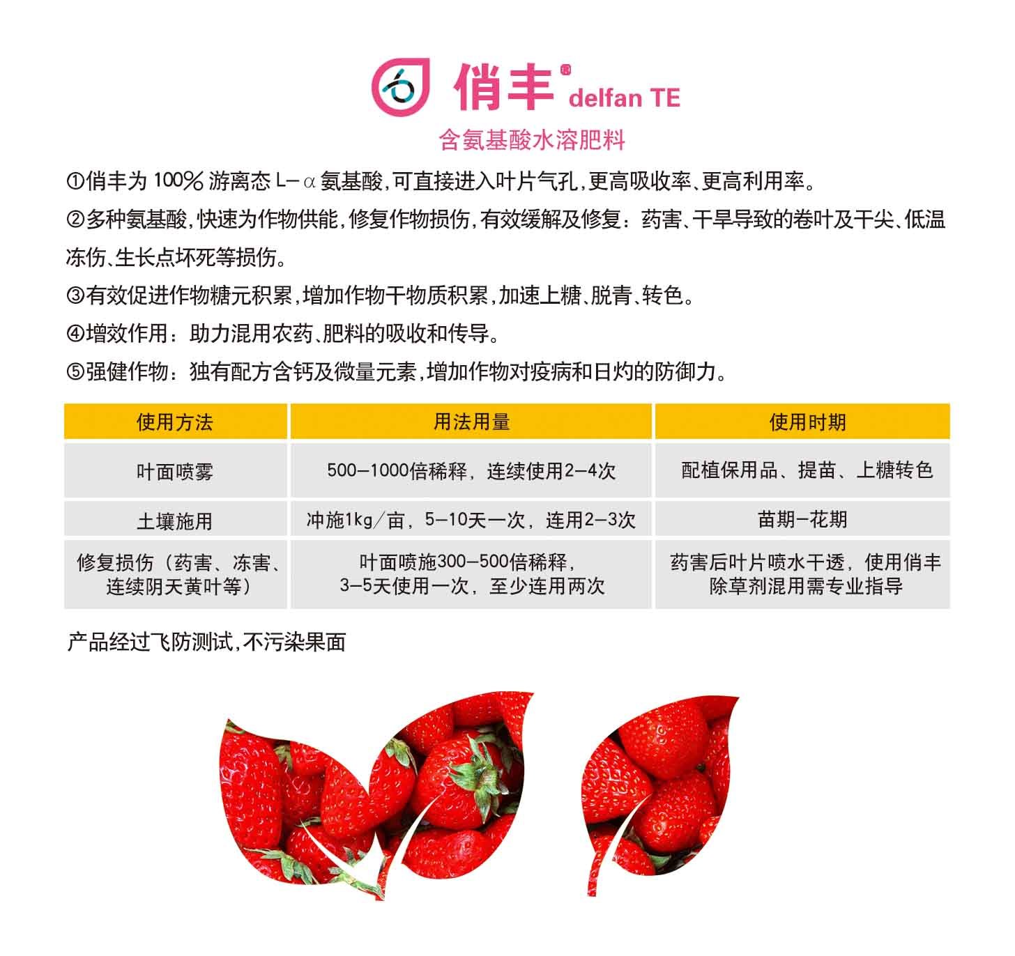 俏丰