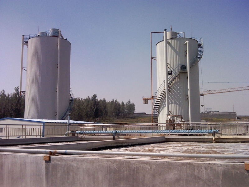 山东隆科特酶制剂有限公司污水处理工程
