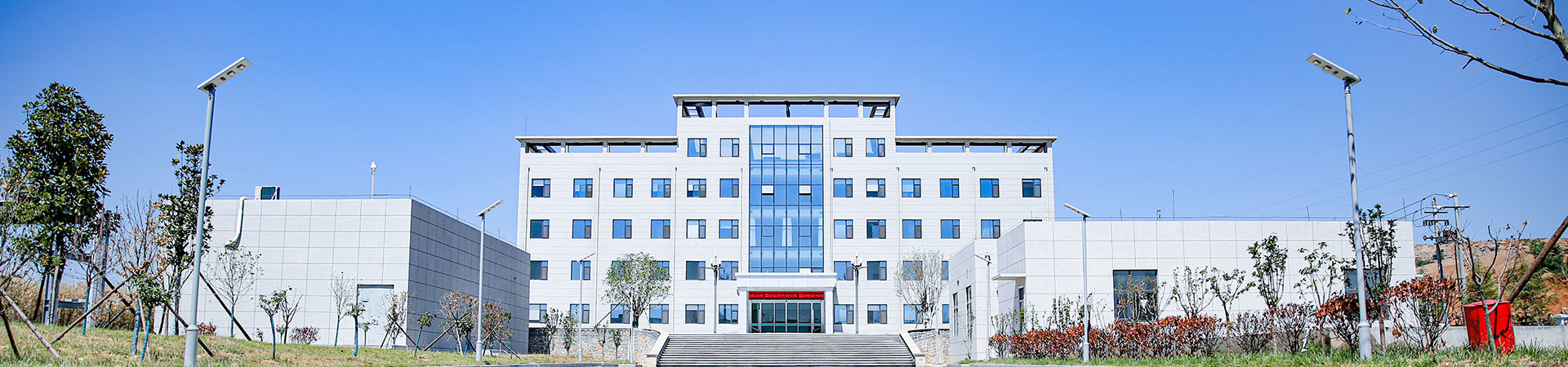 關于大樹