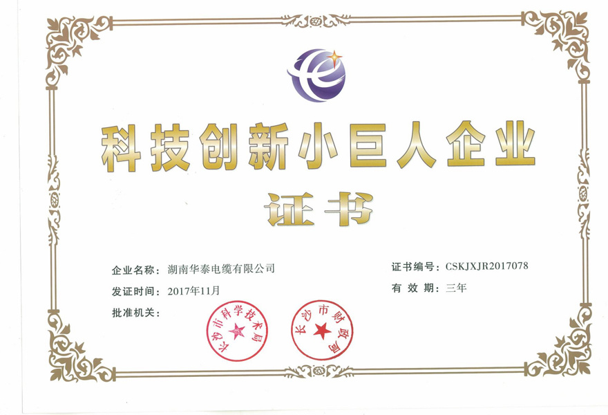 Certificate of Science and Technology Innovation Little Giant Enterprise