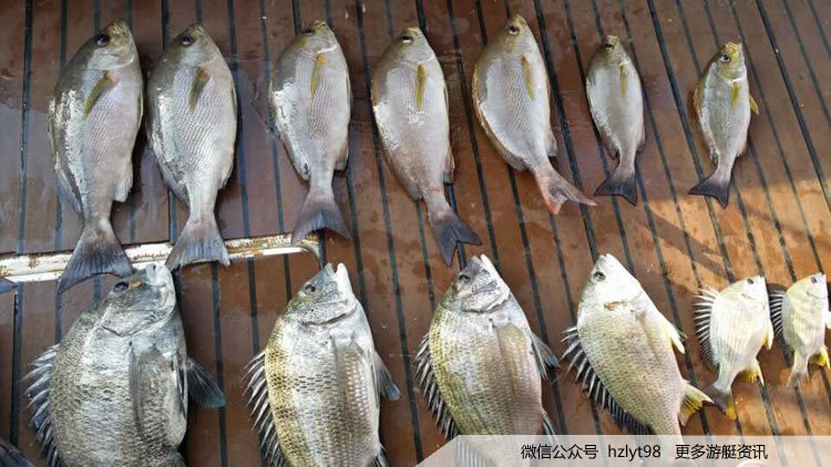 海钓