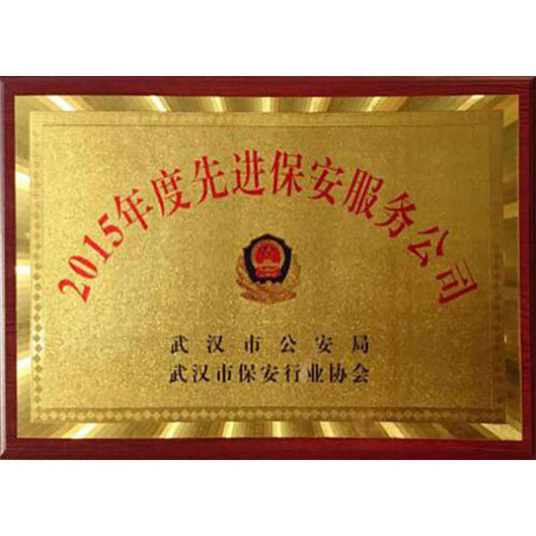 2015年先进保安公司