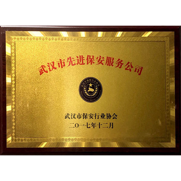 2017年先进保安公司