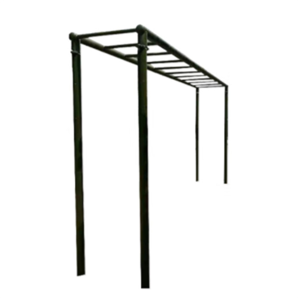 Horizontal ladder