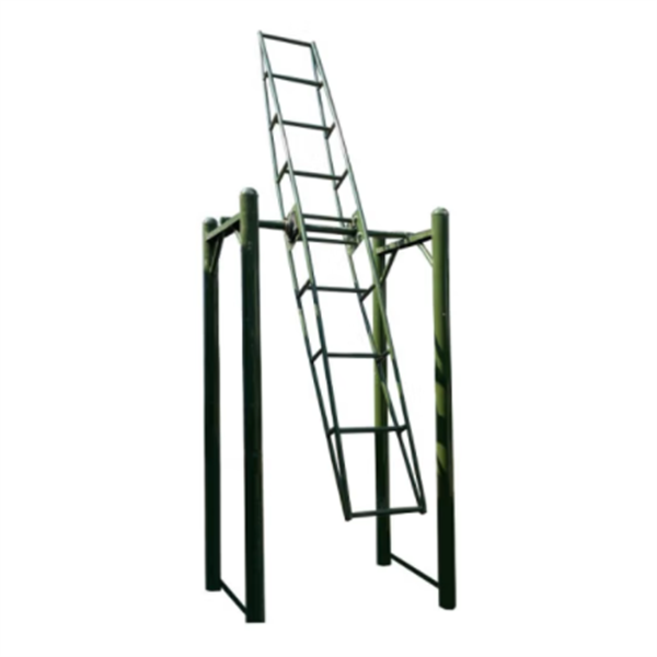 Single revolving ladder