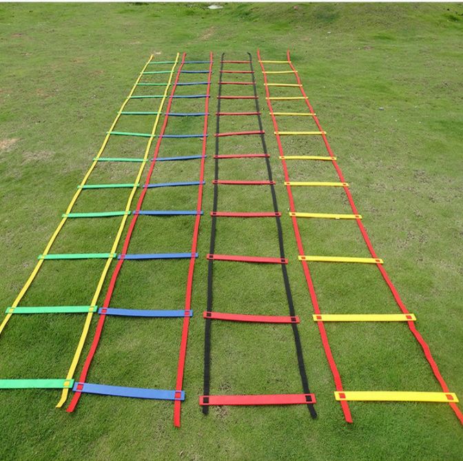 Training Agile Ladder