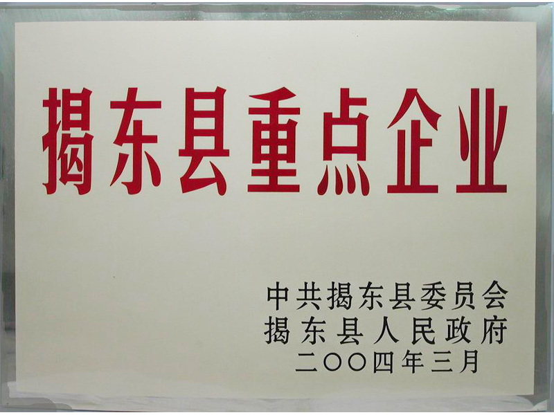 揭東重點企業