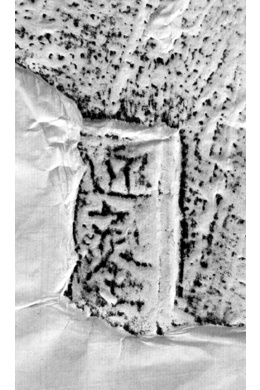 博物馆