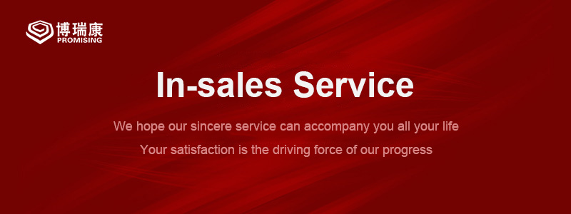 In-sales Service